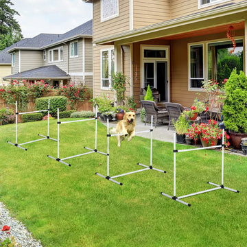 Honden-agilityhordenset, 4-delig | Kleur: Wit | Afmetingen: 37,4x25,59x37,4 cm