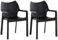 2-delige Set Stoelen - Tuin- en Feeststoelen - UV-bestendig en Waterafstotend Kleur zwart