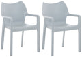 2-delige Set Stoelen - Tuin- en Feeststoelen - UV-bestendig en Waterafstotend Kleur lichtgrijs