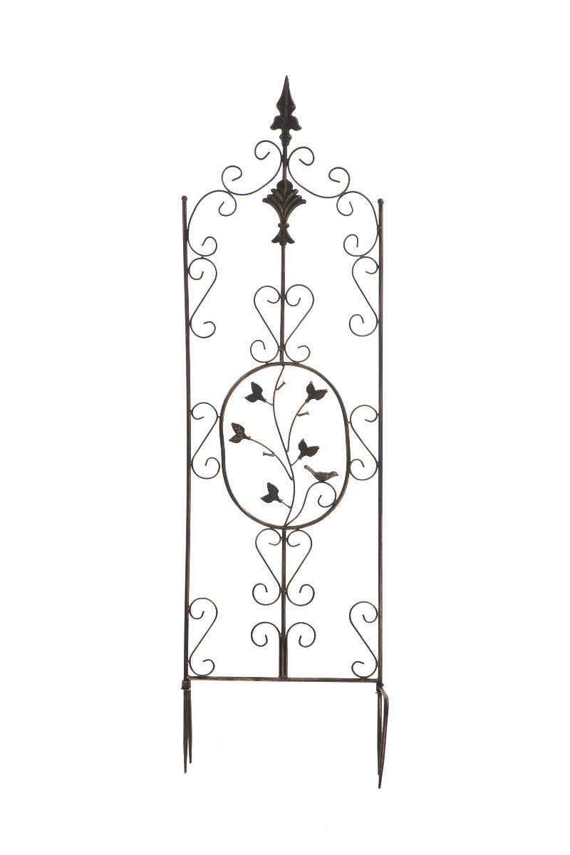 Klimrek - Plantensteun - Stevige verankering voor klimplanten Kleur bronzen