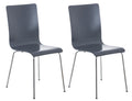 2-delige Set Bezoekersstoel - Vergaderstoel - Ergonomisch Ontwerp, Comfortabel Zitten Urenlang Kleur grijs