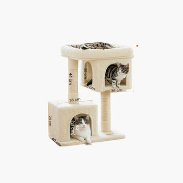 Kattenboom voor grote katten – luxe krabpaal met sisaltouw – 60 x 40 x 84 cm