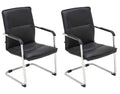 2-delige set Bezoekersstoelen - Vergaderstoelen - Ergonomisch comfort en stijlvol ontwerp Kleur zwart