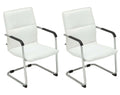 2-delige set Bezoekersstoelen - Vergaderstoelen - Ergonomisch comfort en stijlvol ontwerp Kleur wit