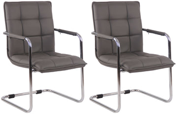 Set van 2 Eetkamerstoelen Kunstleer - Imitatieleer - Optimaal Zitcomfort Kleur grijs