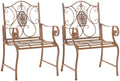 Set van 2 Nostalgische Tuinstoelen - Buitenzitjes - Gemakkelijk te Onderhouden Kleur antiek bruin