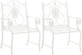 Set van 2 Nostalgische Tuinstoelen - Buitenzitjes - Gemakkelijk te Onderhouden Kleur wit