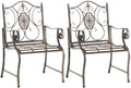 Set van 2 IJzeren Tuinstoelen - Buitenzitstoelen - Elegante Details, Gemakkelijk Onderhoud Kleur brons