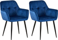 2-delige set Eetkamerstoel Fluweel - Stoelen - Comfortabel Zitcomfort, Onderhoudsvriendelijk Design Kleur blauw