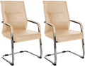 2-delige set Bezoekersstoelen - Gaststoelen - Elegant en Comfortabel Design Kleur khaki Materiaal kunstleer
