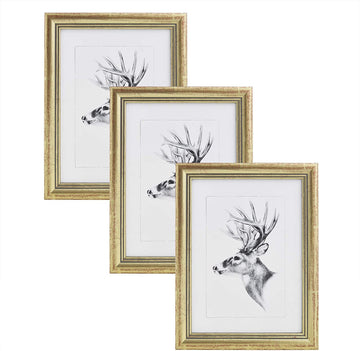 3-delige set houten fotolijsten met echt glas 50x70 cm | Goud