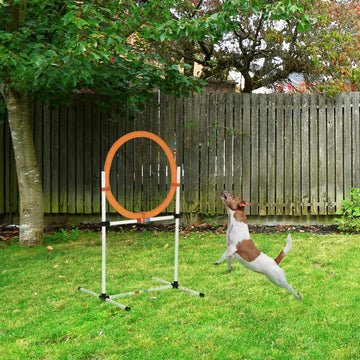 Honden agility horde - 2-in-1 ringhorde | Kleur: Oranje + Wit | Afmetingen: 74.5x66x91 cm