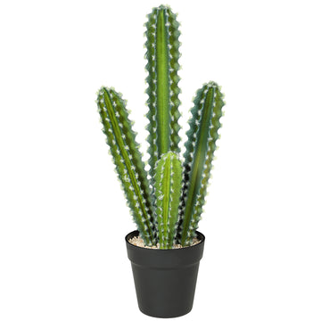 Kunstmatige cactusplant in pot 53 cm | Kleur: Groen | Afmetingen: 13x13x53 cm