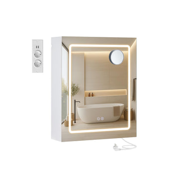 Spiegelkast voor badkamer - wandgemonteerd - wit - 16,5 x 50 x 60 cm