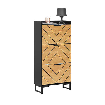 Schoenenkast - Schoenenorganizer - Schoenenopslag - Verstelbare compartimenten - 62x125x24cm MDF en metalen poten