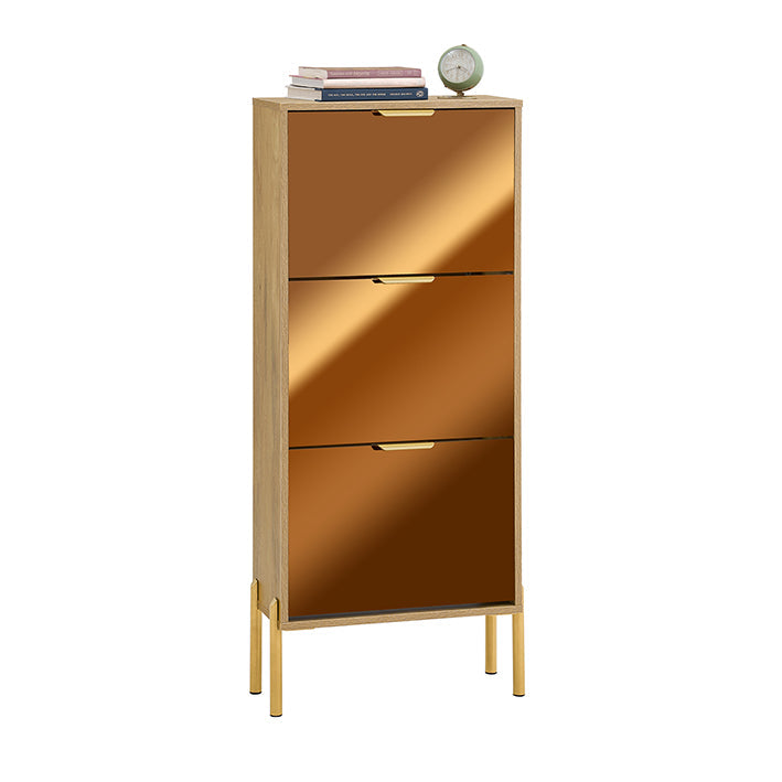 Schoenenopbergkast - Schoenenorganizer - Schoenenrek - Gouden glazen deuren, metalen poten, stabiel ontwerp - 55x124x24cm