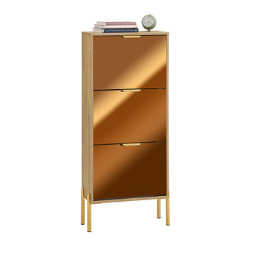 Schoenenopbergkast - Schoenenorganizer - Schoenenrek - Gouden glazen deuren, metalen poten, stabiel ontwerp - 55x124x24cm