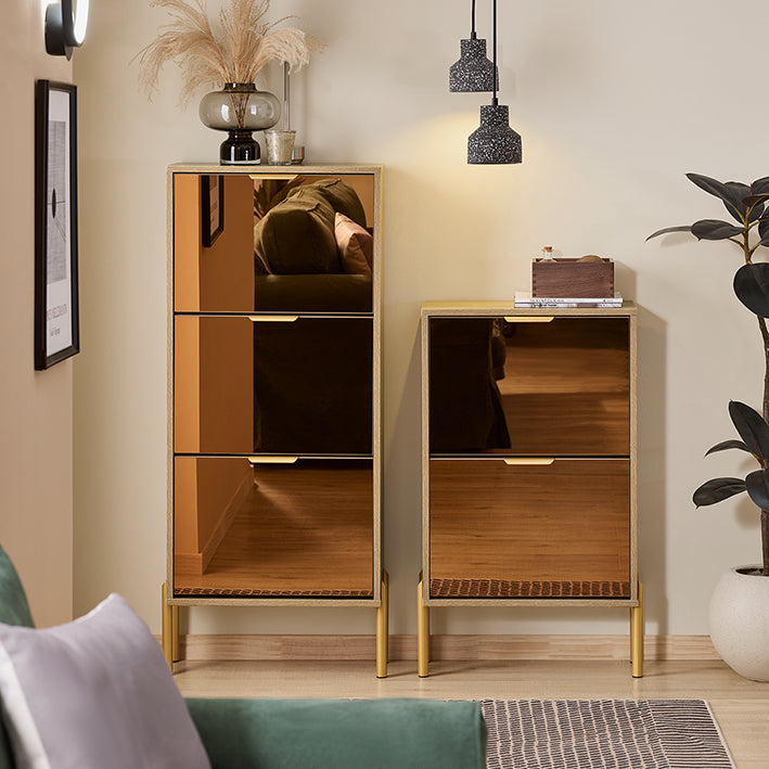 Schoenenopbergkast - Schoenenorganizer - Schoenenrek - Gouden glazen deuren, metalen poten, stabiel ontwerp - 55x124x24cm
