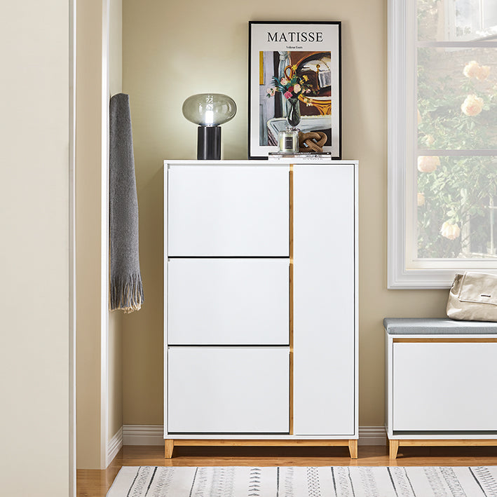 Schoenenkast met 3 compartimenten - Opbergorganisator - Schoenenrek - Stofvrije toegang - 59 cm x 115 cm x 40 cm