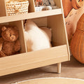 Kinderboekenplank - Kinderboekenopberger - Speelgoedorganizer - Veilige Afgeronde Hoeken - 86x78x36cm