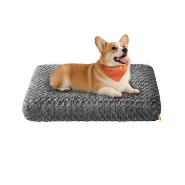 Hondenbed met zachte vulling | Leisteengrijs | 95x60x10 cm