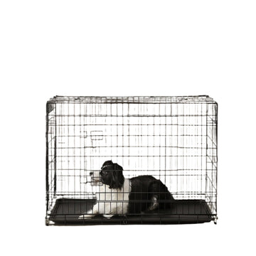Opvouwbare hondenbench met 2 deuren - comfortabel en duurzaam - 106 x 77,5 x 70 cm