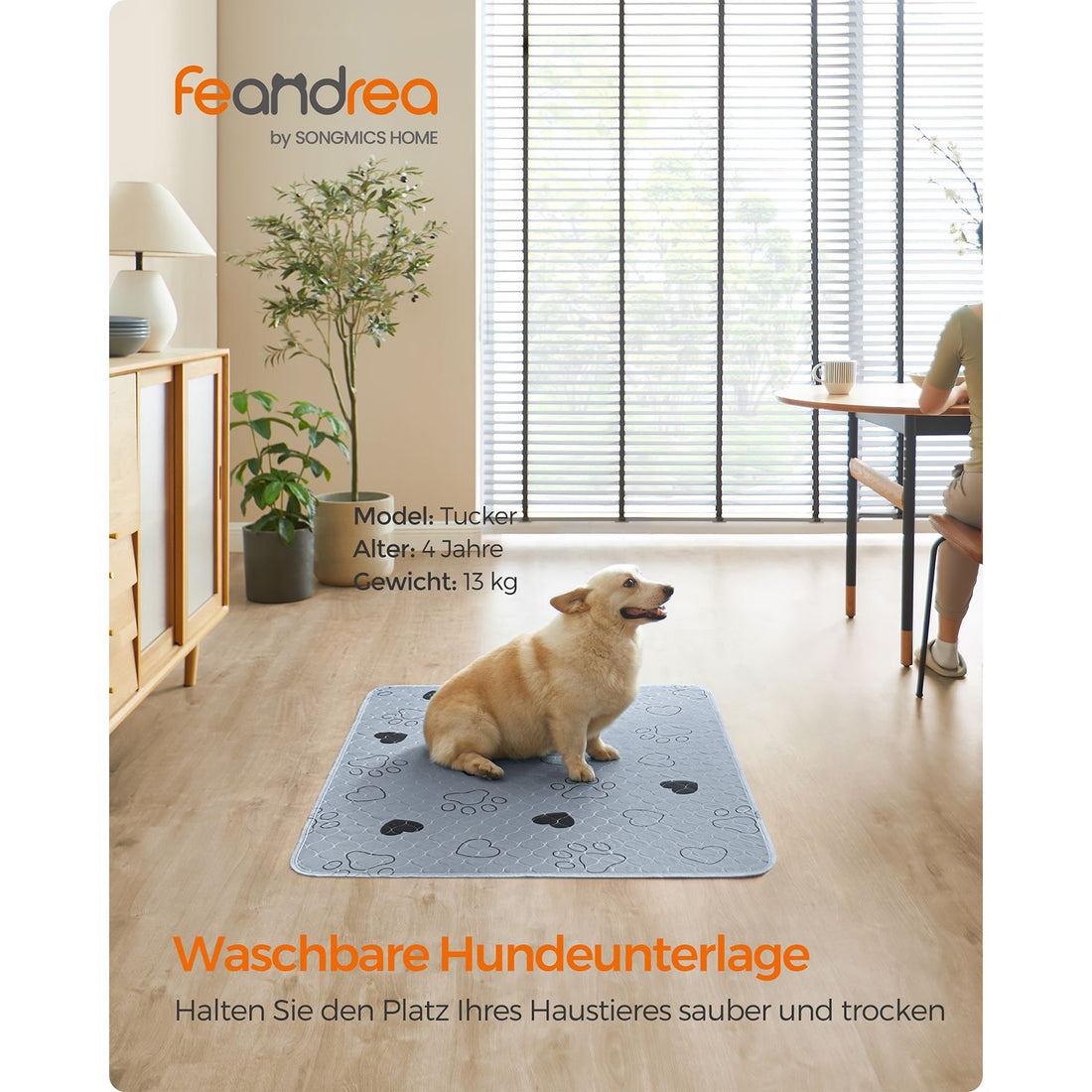 Waterdichte grijze puppytrainingsmat - hondenplasmat - 122 x 91 cm - 2 stuks