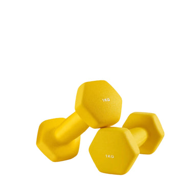 Halters set 2 x 1 kg - gietijzer met vinyl - ruimtebesparende krachttraining
