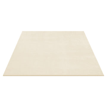 Vloerkleed voor woonkamer | Beige | 160x230 cm