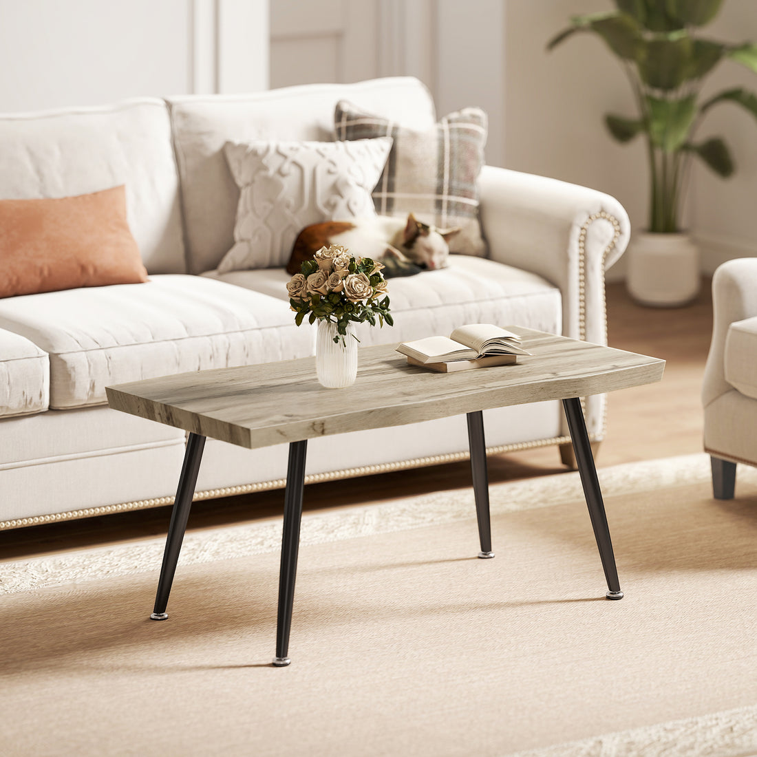 Couchtisch mit Stahlbeinen und 4 cm Platte | Farbe: Eiche+Schwarz | Abmessungen: 100x50x45 cm