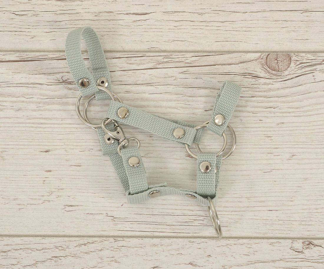 Hobby Horse Halter A4 Liten - hästgrimma - slitstark och lätt att rengöra