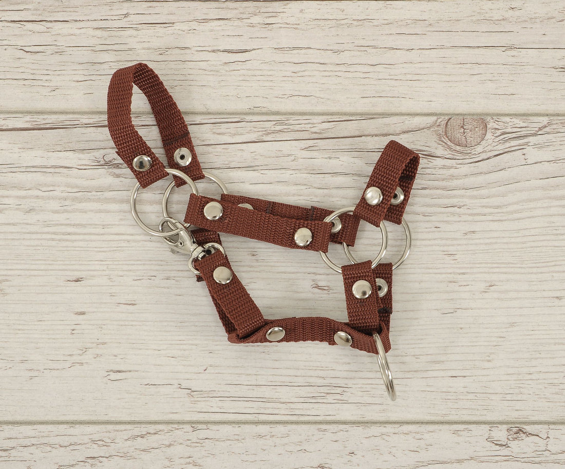 Hobby Horse grimma - hästgrimma - smutsavvisande och slitstark polyester, storlek A4 Liten, brun