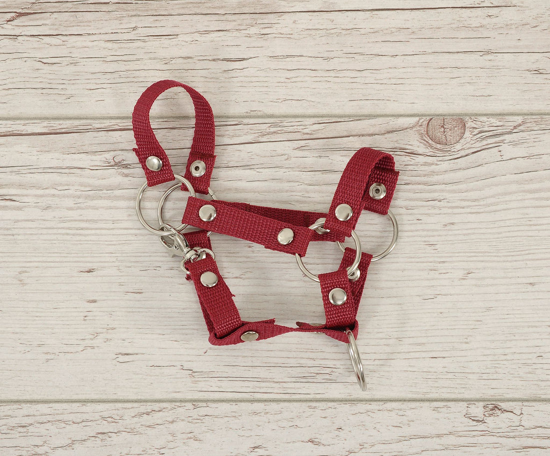 Grimma för hobbyhäst - huvudsele - slitstark och enkel att använda - vinröd - A4 Liten