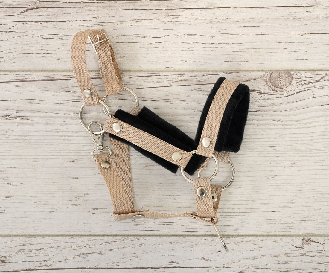 Verstelbaar halster, paardenhalster, extra comfort – zwart pluche & nylon – maat A3