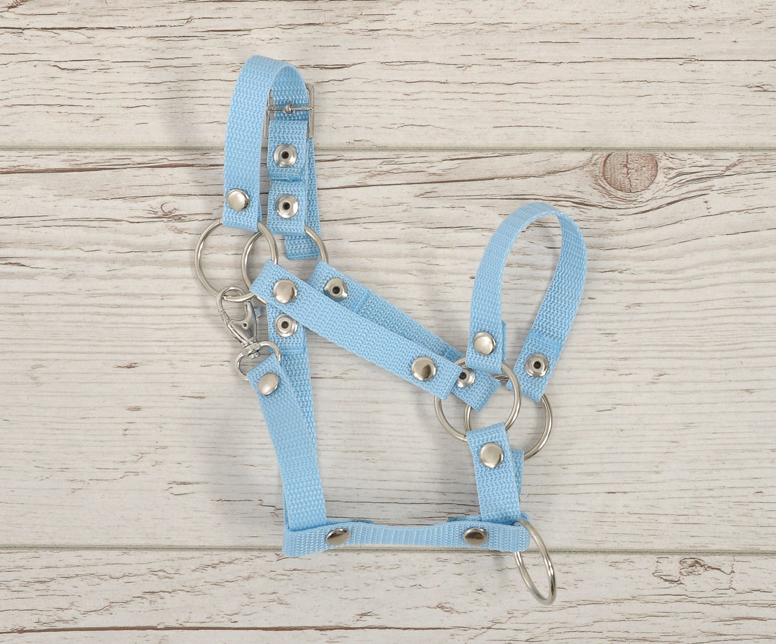 Verstelbare halster voor Hobby Horse A3 - paardenhalster - optimale pasvorm