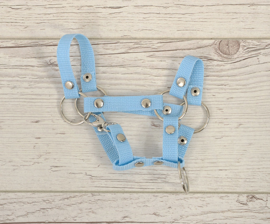 Käpphästgrimma, hästgrimma, slitstark nylon och robust karbinhake, ljusblå, storlek A4