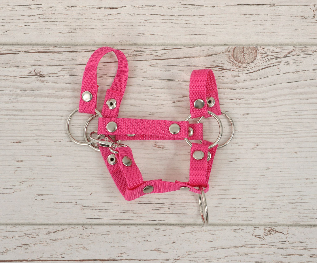 Hobby Horse grimma A4 liten - hästgrimma - robust och slitstarkt band