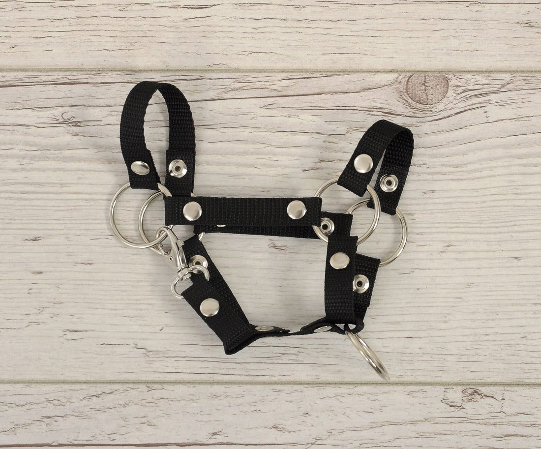 Klibbhästsgrimma - nylonträns - slitstarkt och robust - svart - A4 liten