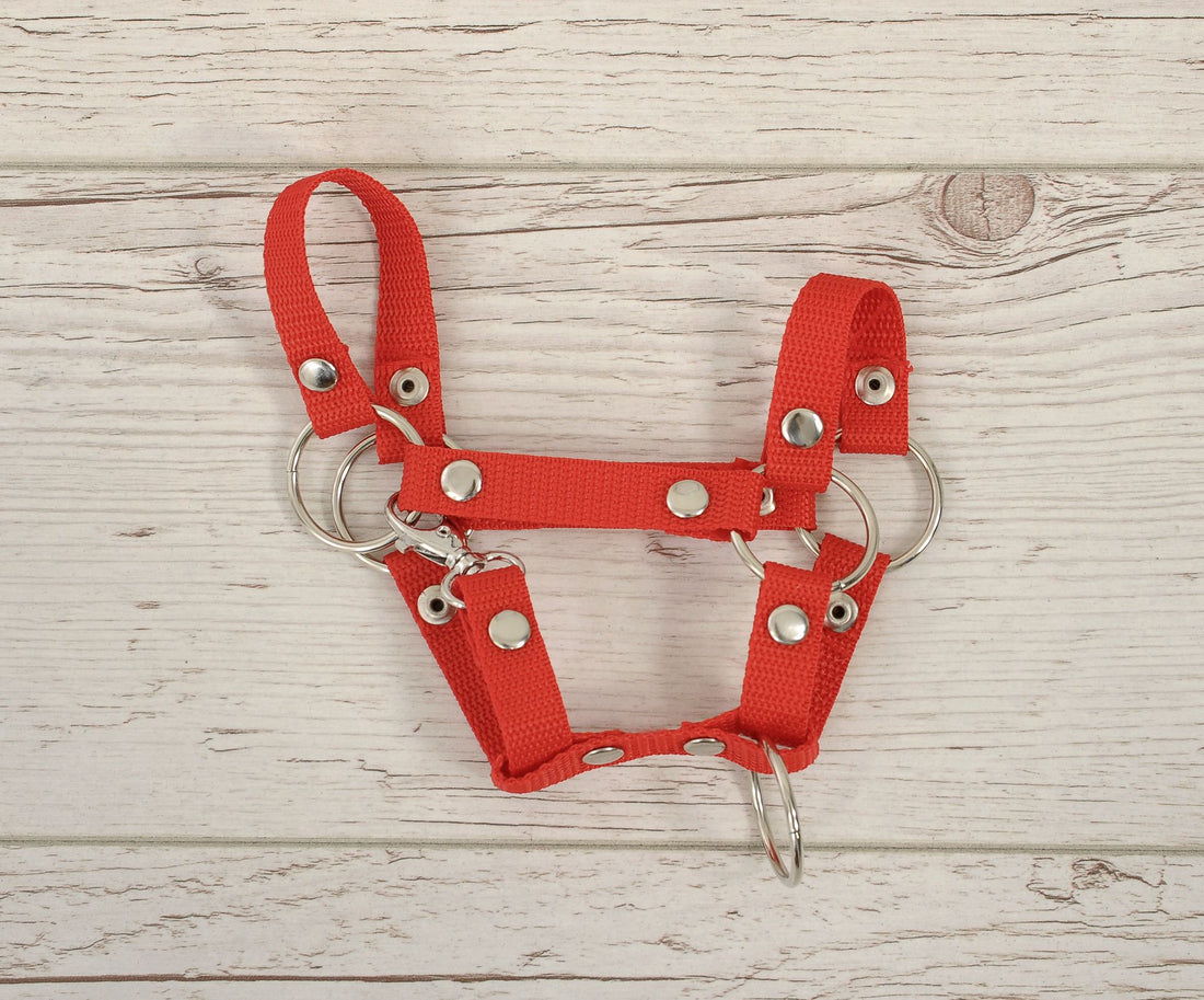 Hobby Horse grimma - hästträns - slitstarkt och lätt att använda - röd, storlek A4 liten