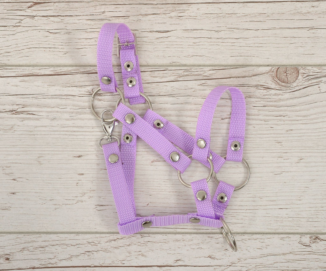 Verstelbaar halster, paardenhalster, stevig en comfortabel – geschikt voor Hobby Horse A3, paars