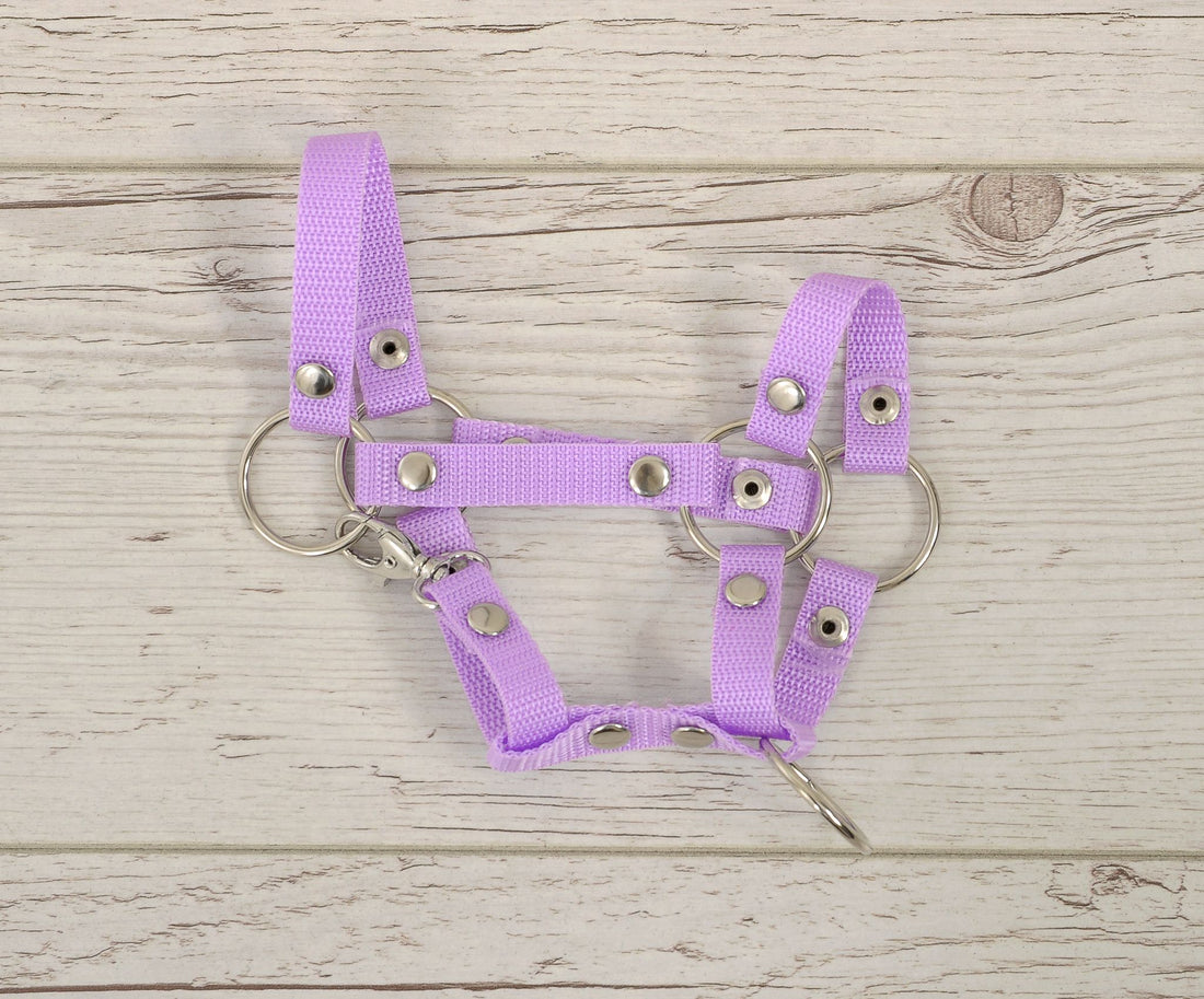 Hobbyhorse halster, hoofdstellen, eenvoudig te gebruiken en duurzaam - paars - maat A4 small
