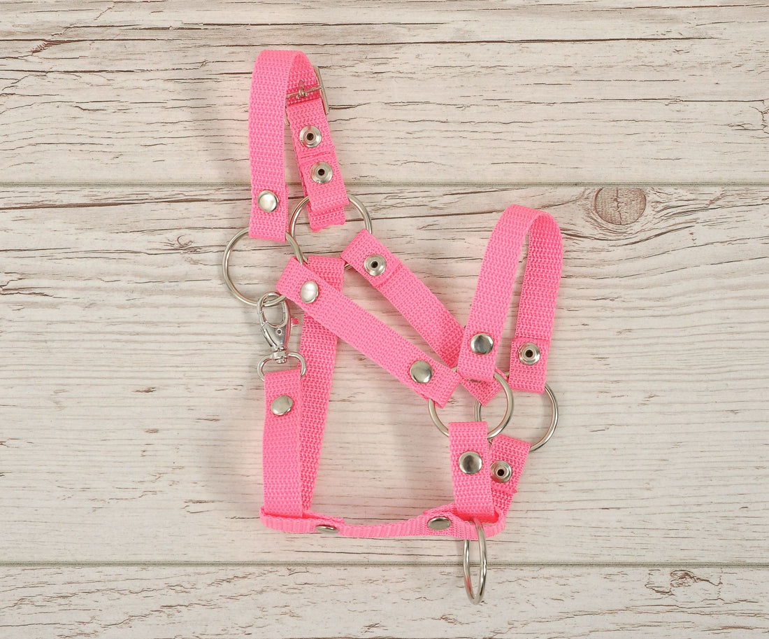 Verstelbare halster - paardenhalster - perfecte pasvorm - nylon - roze