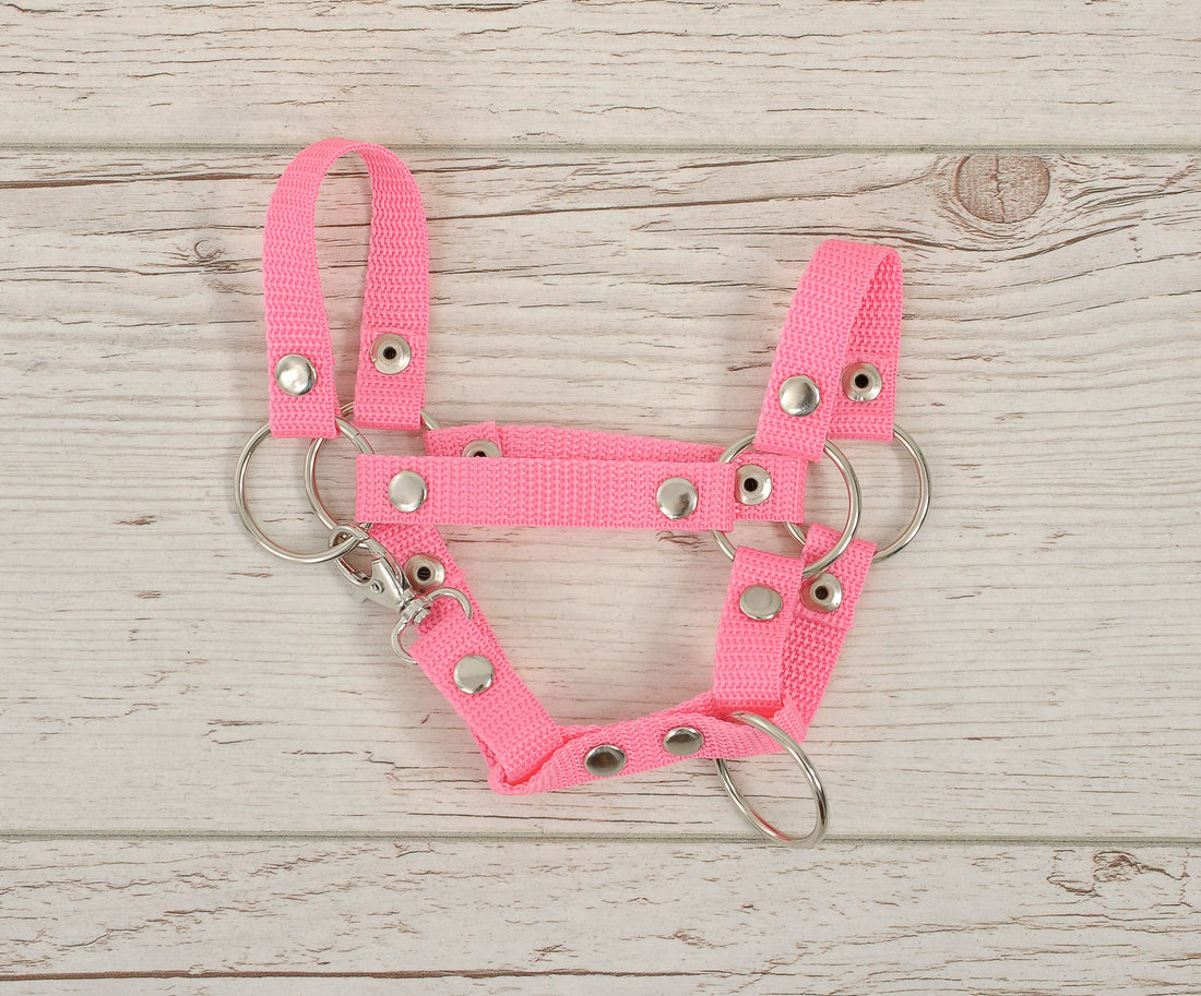 Käpphästgrimma - nylongrimma - slitstark och robust, lätt att använda, rosa, liten