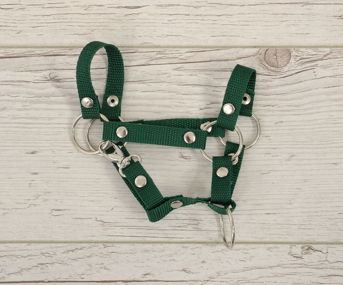 Grimma för hobbyhäst - hästgrimma - slitstark och lättanvänd, flaskgrön, A4