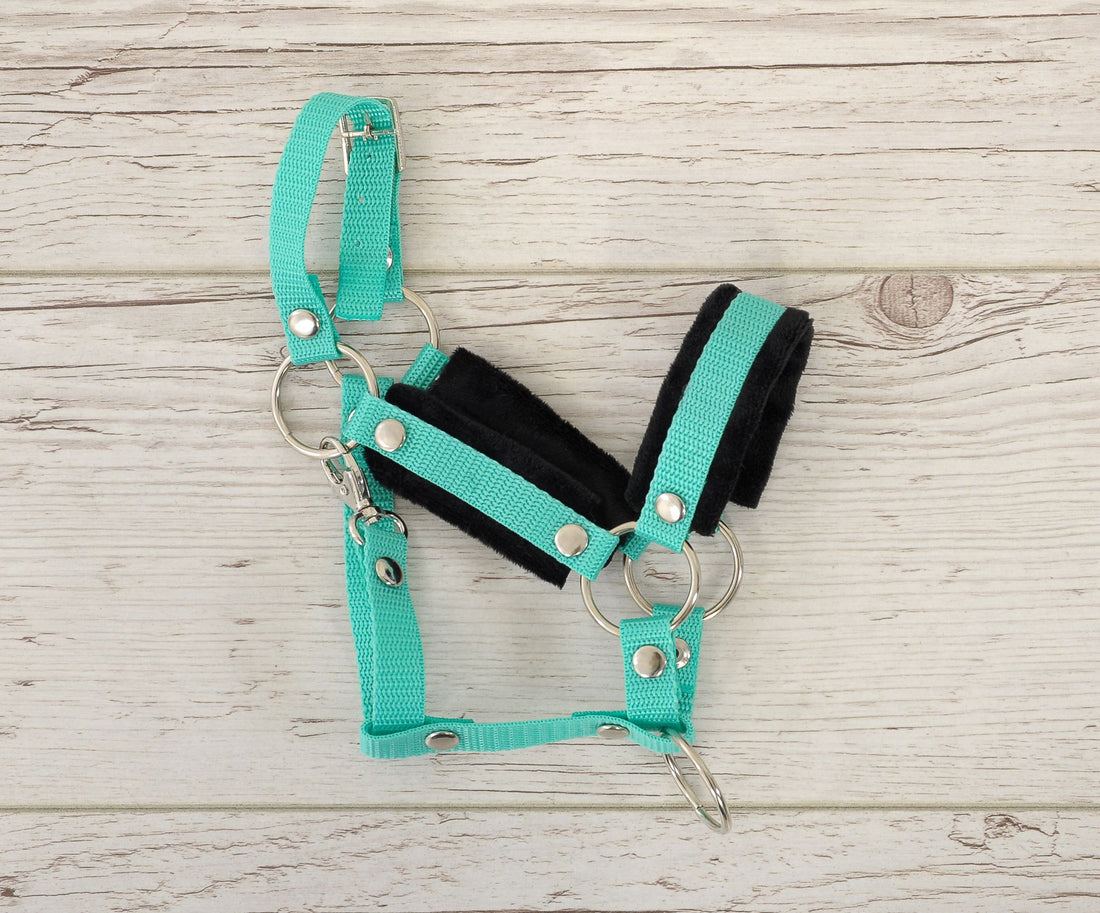 Verstelbare halster - paardenhalster - met zachte voering voor Hobby Horse A3, comfortabel