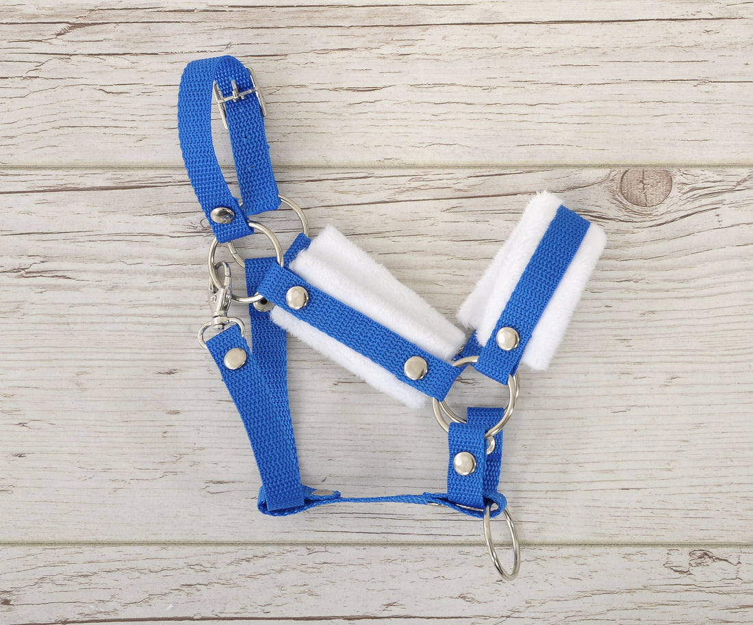 Verstelbaar halster - paardenhalster - zacht en comfortabel voor Hobby Horse A3