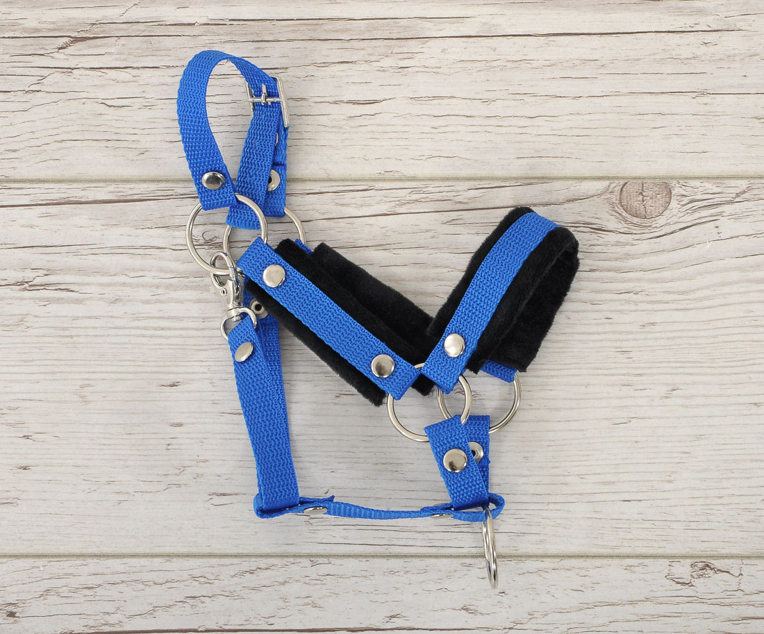 Verstelbare halsband, paardenhalster, optimale pasvorm - blauw met zwarte bont voor Hobby Paard A3
