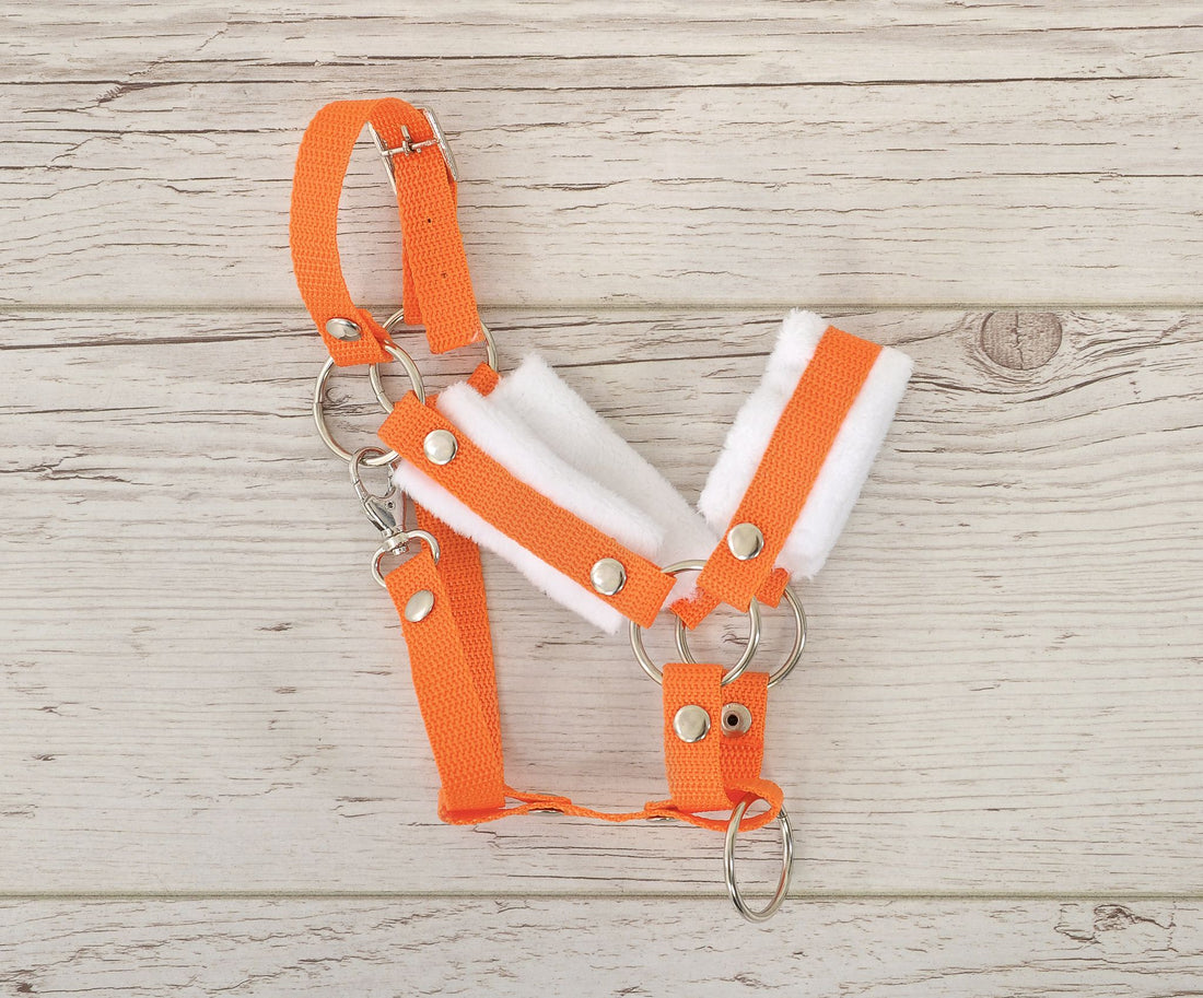 Verstelbare halster - paardenhalster - extra comfort bontvoering, oranje/wit, maat A3