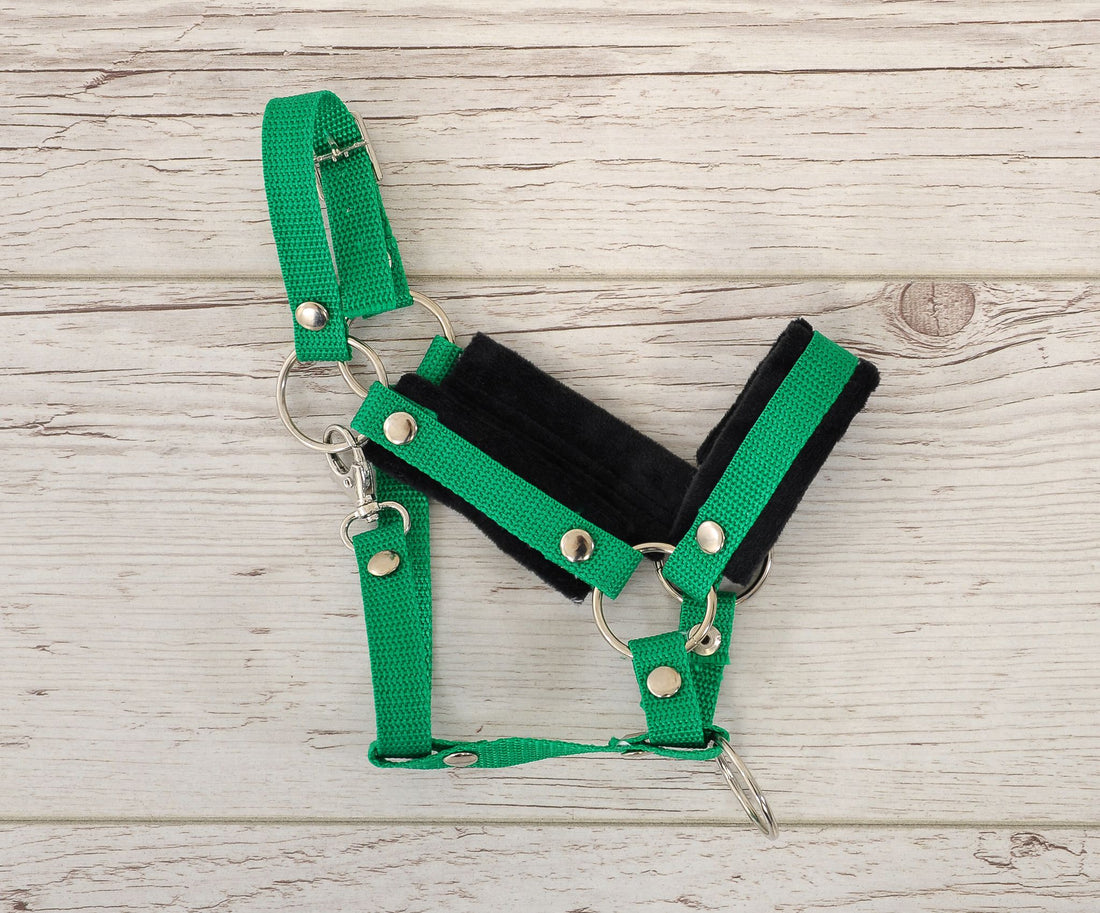 Verstelbaar hoofdstel, halster, extra comfort - robuust nylon & zacht pluche voor hobby paard