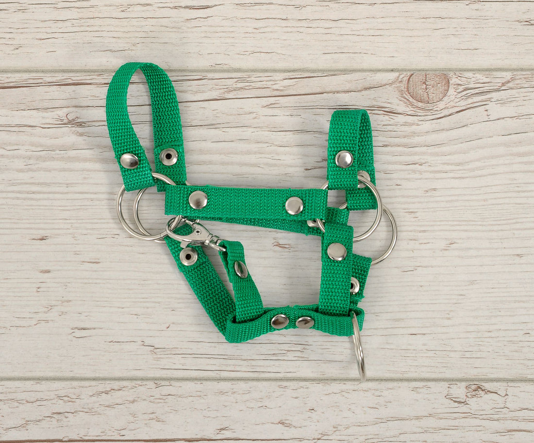 Klibbhästsgrimma - nylonträns - slitstarkt och robust, lätt att stänga, A4 Liten, grön